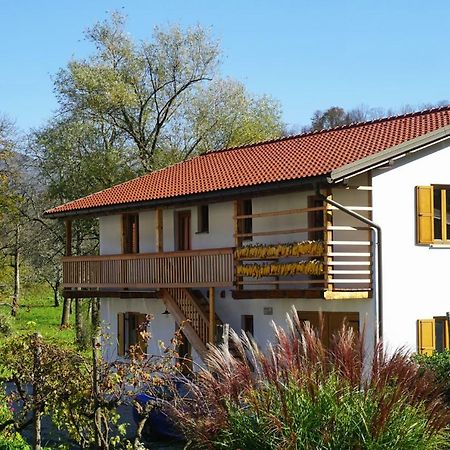 Ecohouse Furlan - Apartment Pinja コバリード エクステリア 写真