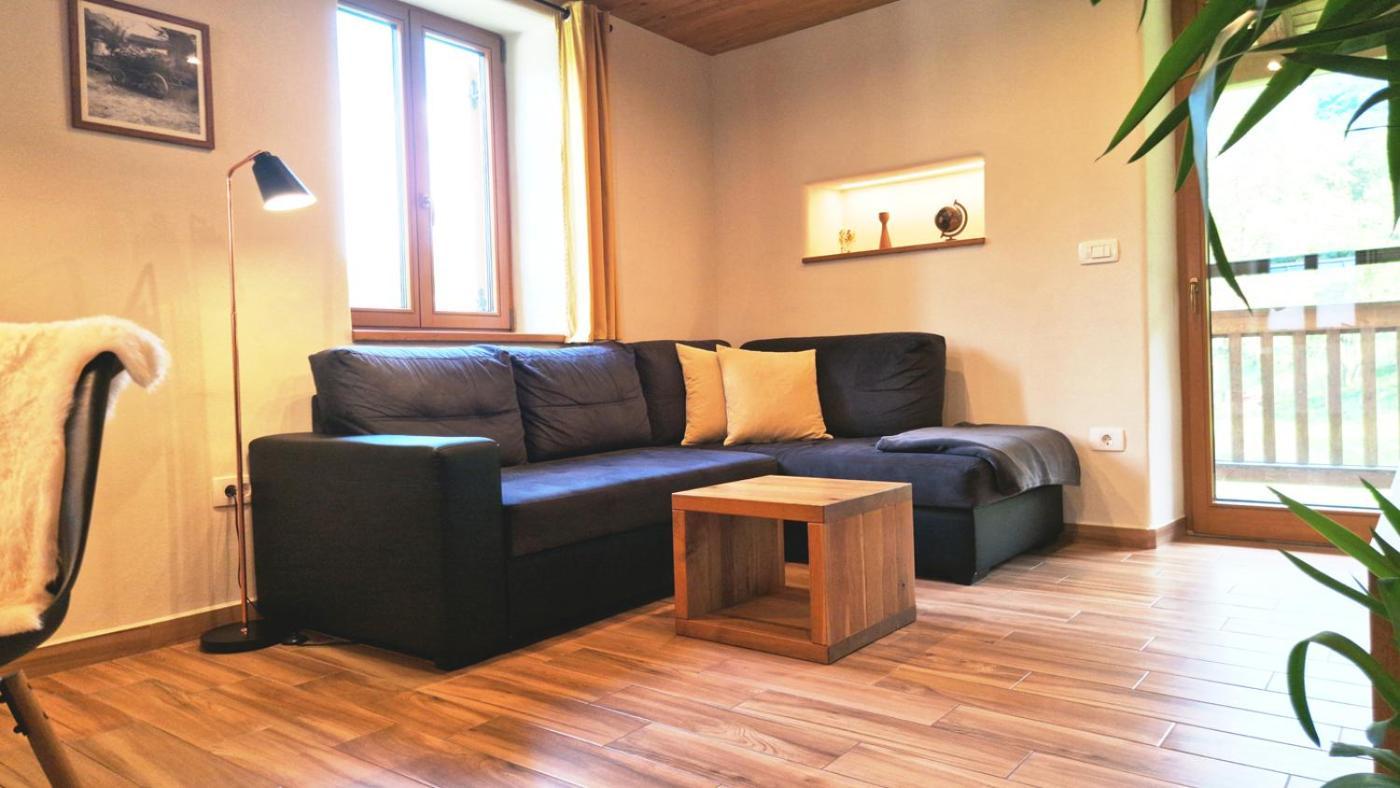 Ecohouse Furlan - Apartment Pinja コバリード エクステリア 写真