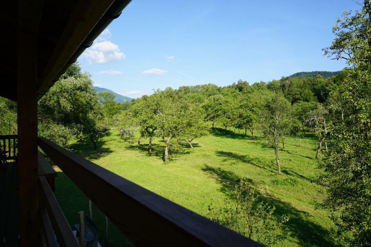 Ecohouse Furlan - Apartment Pinja コバリード エクステリア 写真