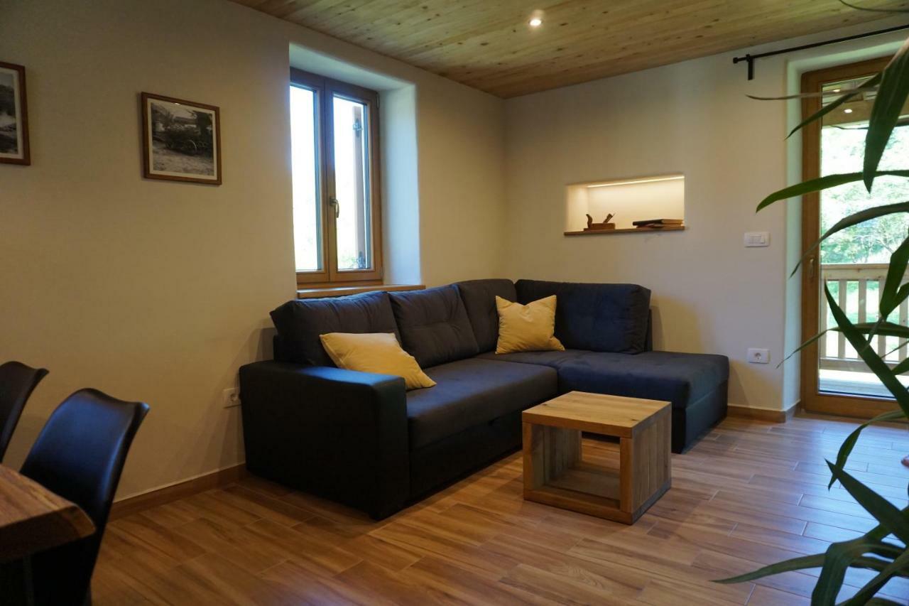 Ecohouse Furlan - Apartment Pinja コバリード エクステリア 写真